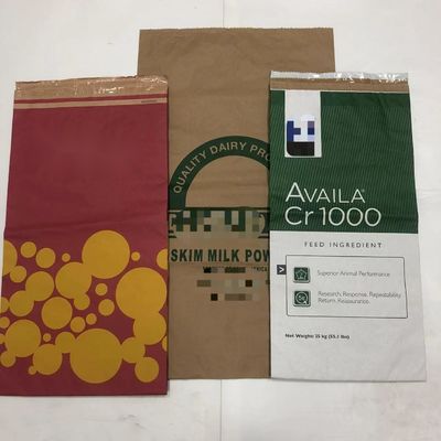 কাস্টম মুদ্রিত মাল্টিওয়াল পেপার ব্যাগ